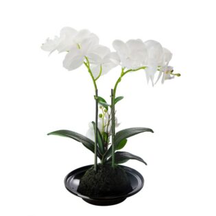 Artekko Orchid Τεχνητή Λευκή Ορχιδέα σε Μαύρο Κασπώ (32x15x34)cm